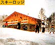 ログ写真