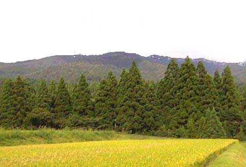 山
