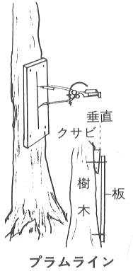 ブラムライン