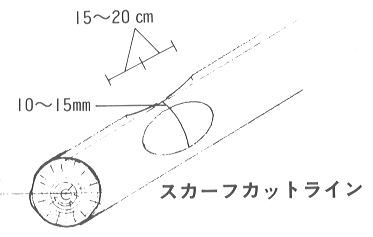 サドルノッチ